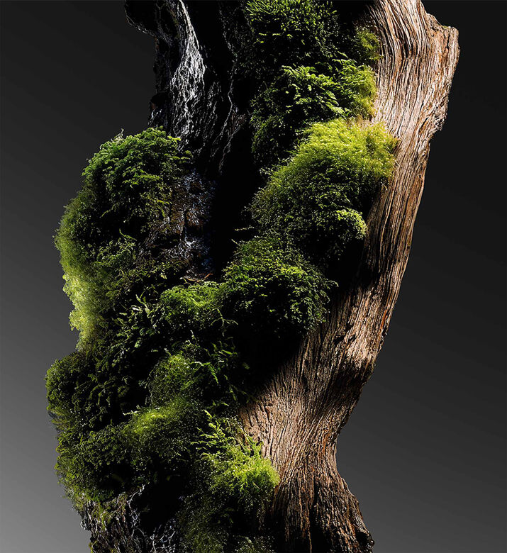 Kilian Paris Edp Her Majesty Ref, Packshot View