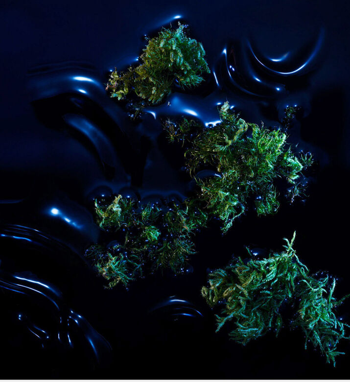 ماء عطر ريبليكا سول أوف ذا فوريست