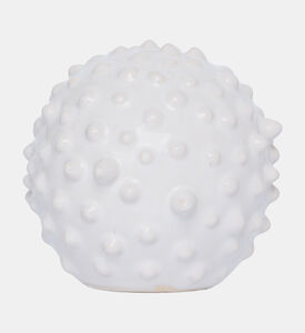 منحوتة قنفذ البحر سيراميكية