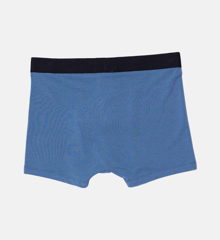 Classic Trunk - 3 Pack