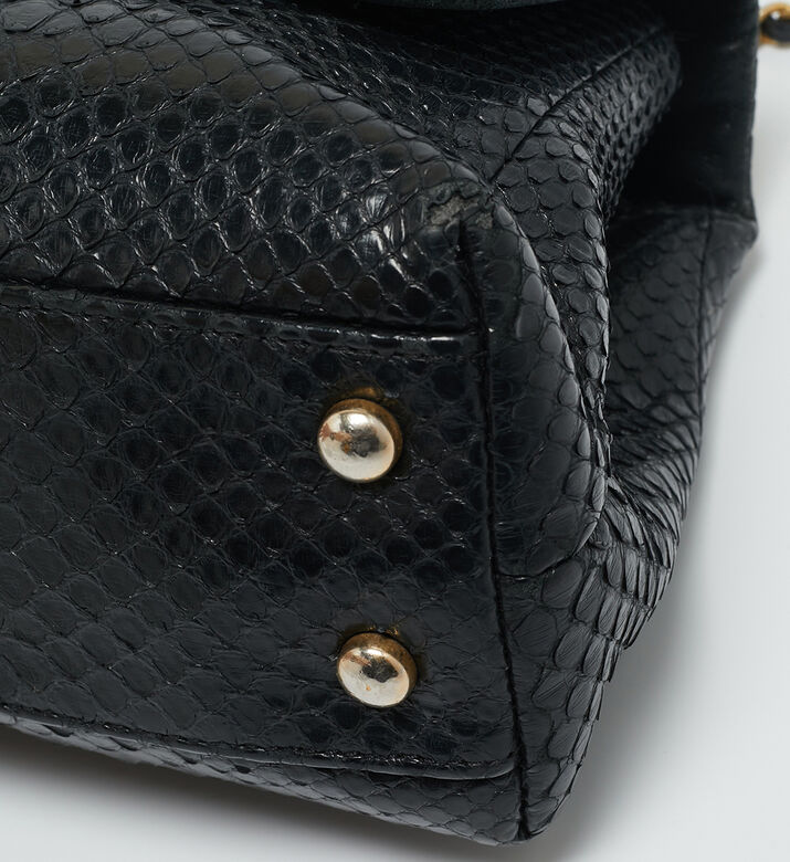 Chanel Preowned Coco Chanel Python Mini Coco Top Handle Bag, Packshot View