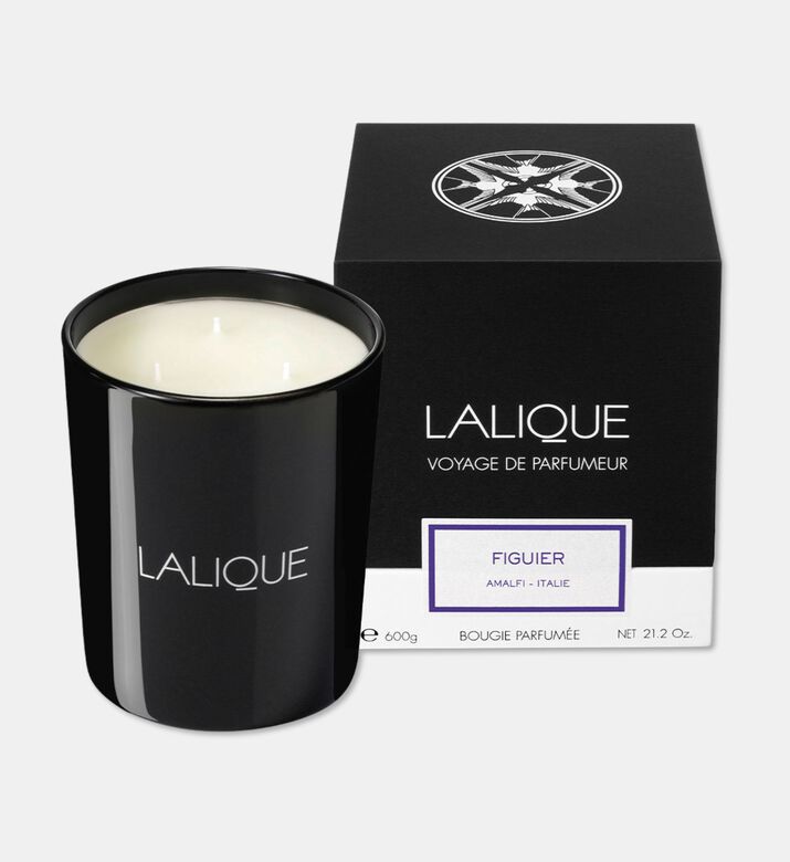 Lalique Candle 600 G Figuier, Packshot View
