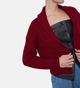 Forte-Forte Merino Wool Shawl Collar Cardigan, Red, L, Model View