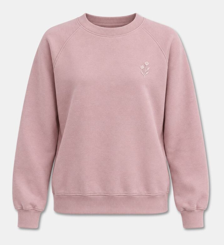 Maison Kitsune Sweatshirt Fox, Packshot View