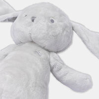 Augustin The Rabbit Comforter
