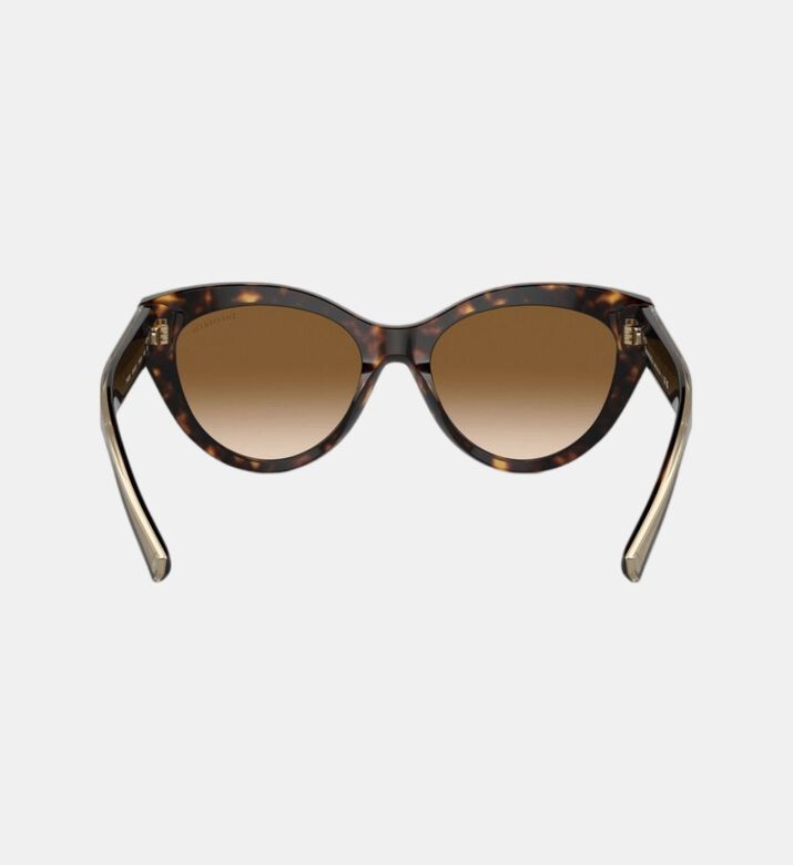 نظارة شمسية بعدسات متدرجة أسيتات 54