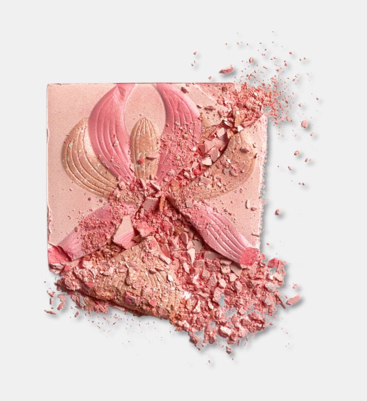 SISLEY Blush Lorchidee 15g, 2-rose, Packshot View