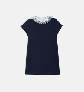 Embroidered Ruffle Collar Dress