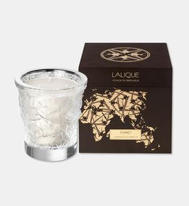 Lalique Cndle Vase 750g Foret, Packshot View