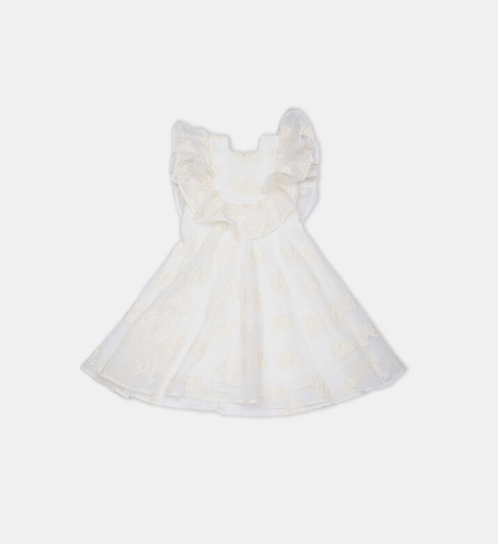 Flounce Neckline Dress