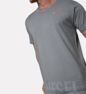 Diesel Ts, Model View