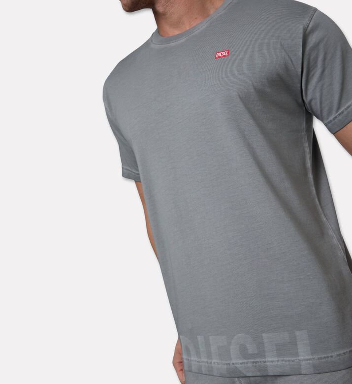 Diesel Ts, Model View