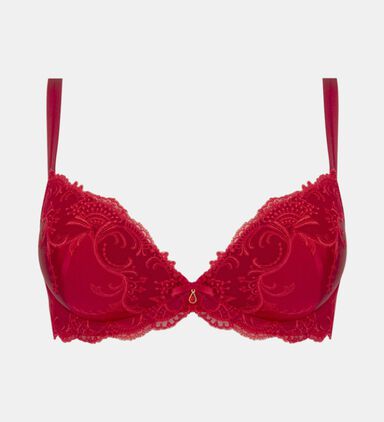Coque Progres Embroidered Bra