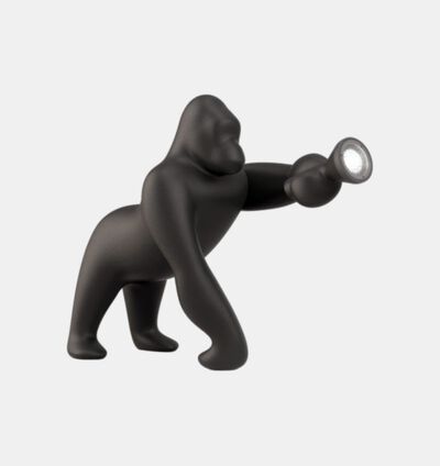 Kong Adjustable Arm Floor Lamp