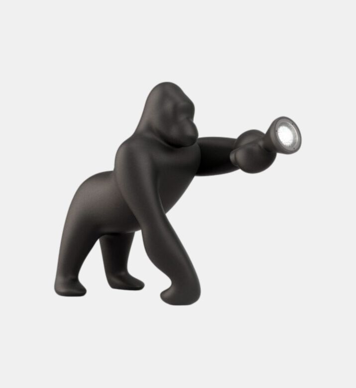 Kong Adjustable Arm Floor Lamp