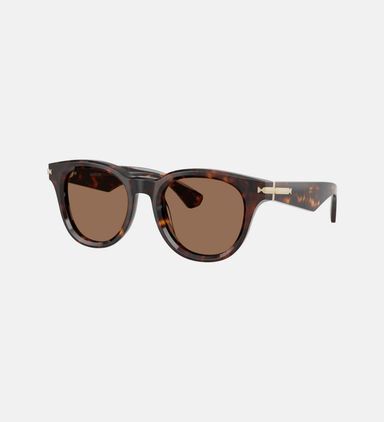 Dark Havana Frame Sunglasses 51