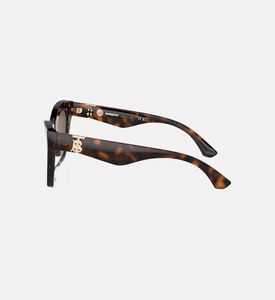 نظارات شمسية بنية اللون كات آي 55