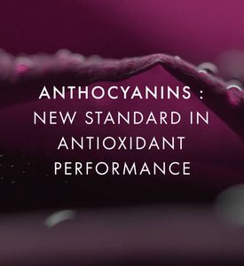 SISLEY Serum Black Rose Concentrate, Packshot View