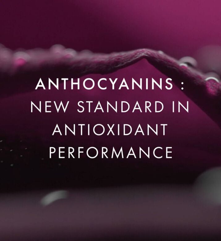 SISLEY Serum Black Rose Concentrate, Packshot View