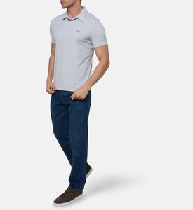 Lacoste Polo, Grey, Xl, Model View