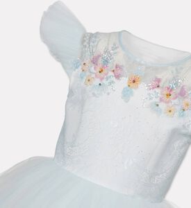 Lelyte Floral-embroidery Sheer Lace Dress, Packshot View