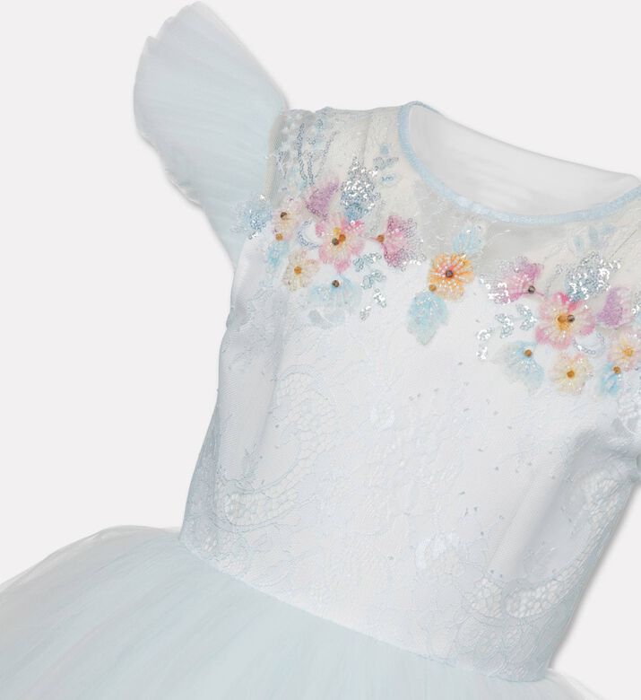 Lelyte Floral-embroidery Sheer Lace Dress, Packshot View