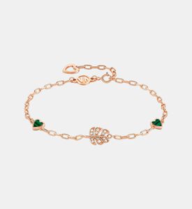 سوار فيتا ليف