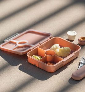 Vehicles Tritan Snack Box