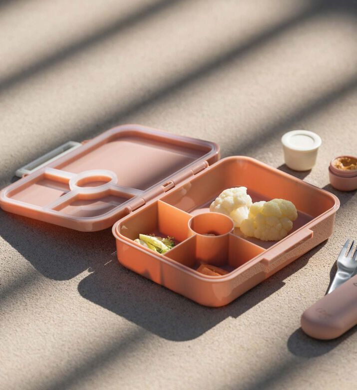 Vehicles Tritan Snack Box