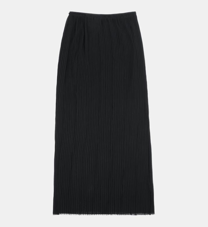 Sheer Pleated Long Skirt