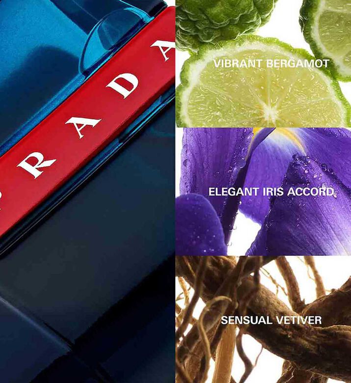 أودوتواليت لونا روسا أوشن