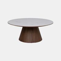 Snow Walnut Ceramic Walnut Coffee Table