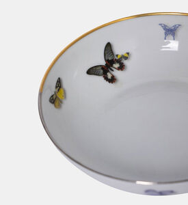 Butterfly Parade Soup Plate