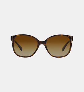 Acetate Square Shape Sunglasses 55