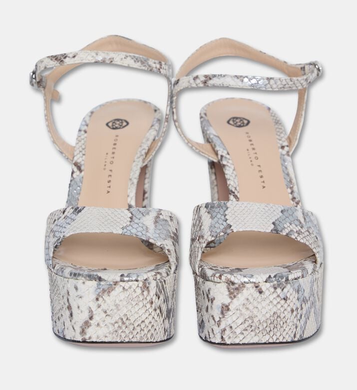 Roberto Festa Shoes Addisl, Packshot View