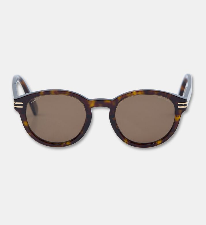 bvlgari Round Acetate Sunglasses, Brown, Packshot View