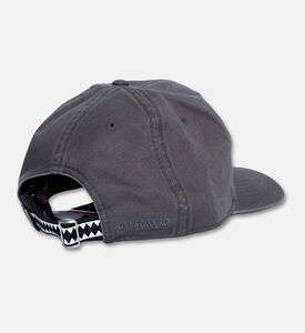 Sprayground Cap, Grey, Packshot View