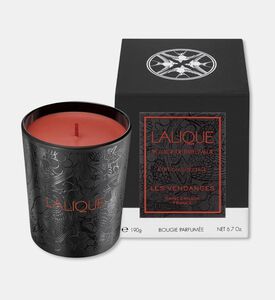 Lalique Candle 190g Les Vendanges, Packshot View