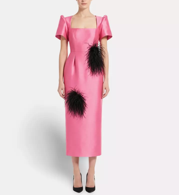 Savanna Amahle Feather Embellished Dress, Pink, L, Model View