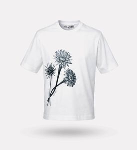 Pal Zileri Ts, Packshot View