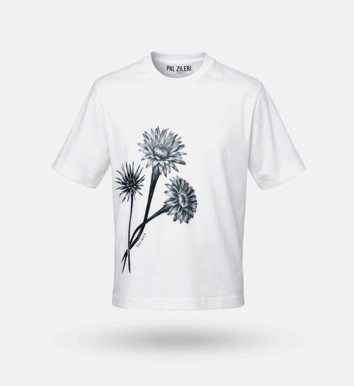 Pal Zileri Ts, Packshot View