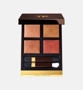 Bright Brick Quad Eye Palette