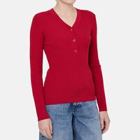 Saleonore V-neck Sweater