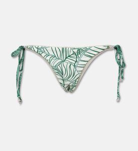 Palmacea Swst Luna, Packshot View