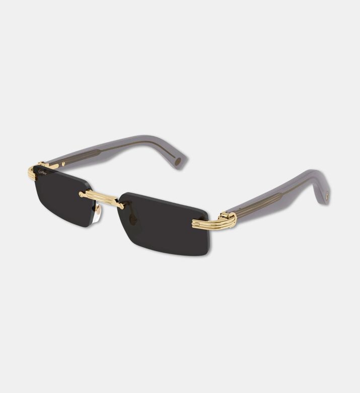 Cartier Sunglass, Packshot View