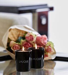 Lalique Candle 190g Safran, Packshot View