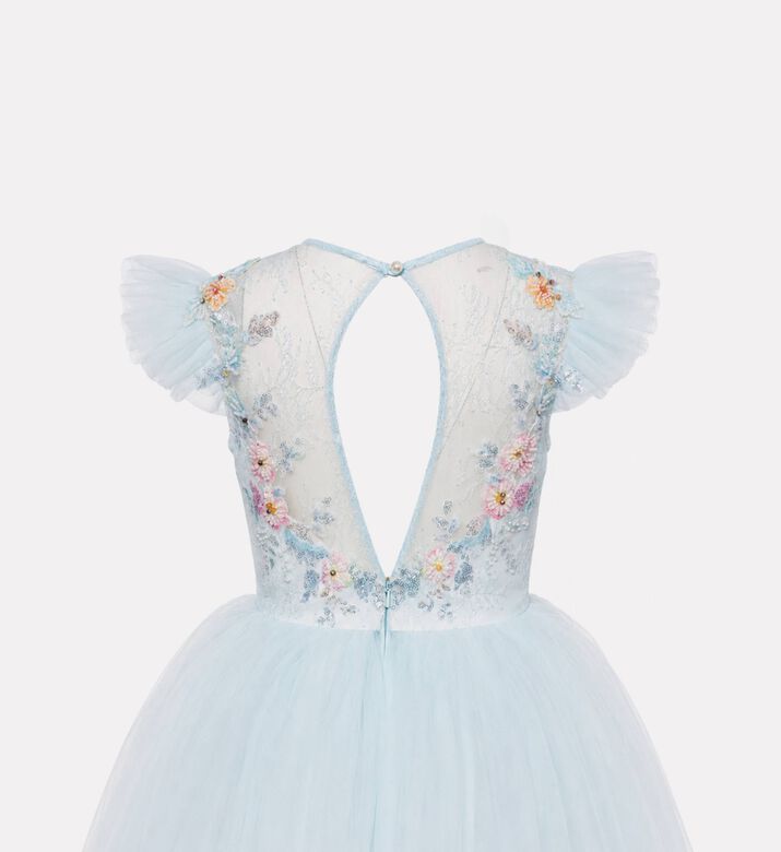 Lelyte Floral-embroidery Sheer Lace Dress, Packshot View