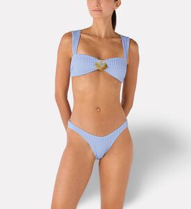 Palmacea Swst Inti Bottom, Model View