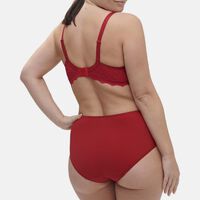 Caresse Embroidered Retro Brief