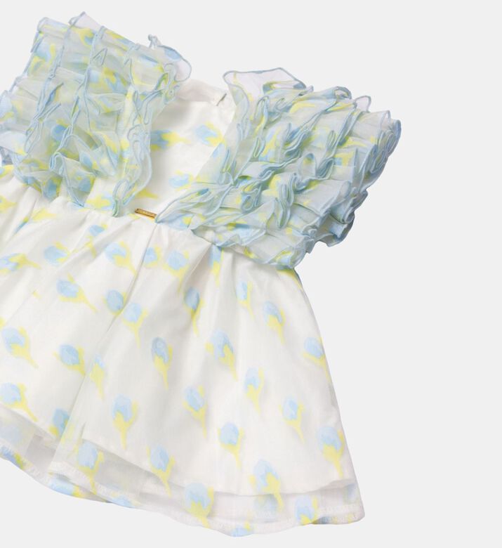 Layered Ruffle Sleeve Dress